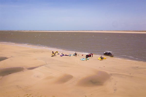 Safari Diurno no Delta do Parnaiba: O Que Esperar e Como Reservar